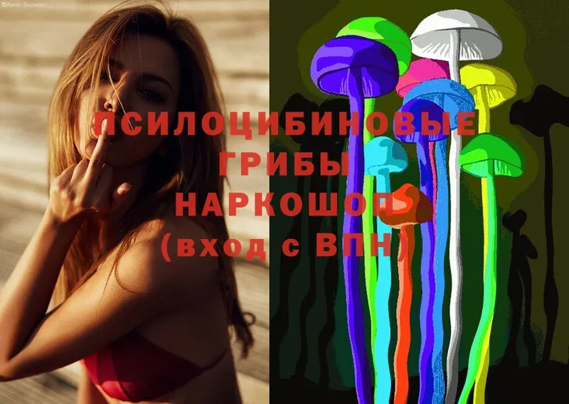 магазин продажи   Нововоронеж  Галлюциногенные грибы Psilocybine cubensis 